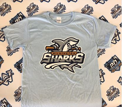 Picture of Youth Light Blue "Primary Logo" Shirt