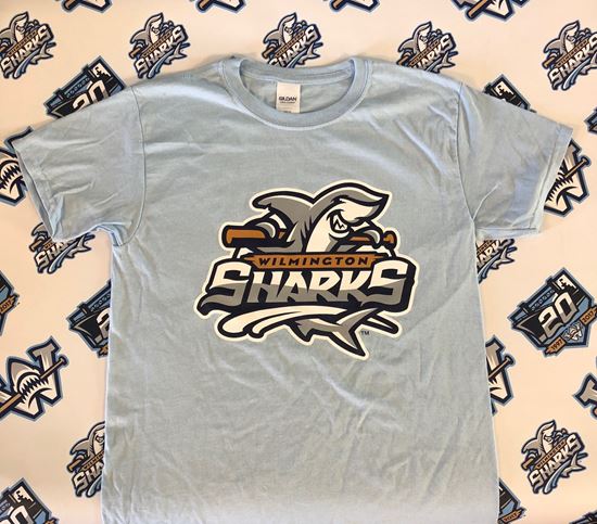 Picture of Youth Light Blue "Primary Logo" Shirt